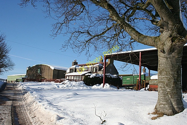 Photo 6"x4" Coldhome Farm Keith c2009