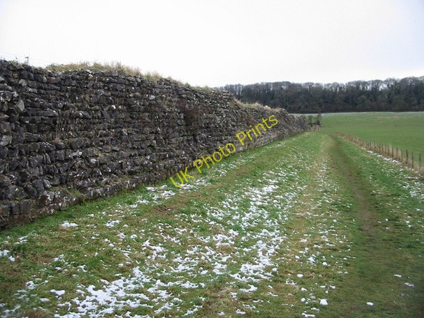 Photo 6"x4" View along the Western wall of the Roman city of Venta Silurum Caerwent c2009