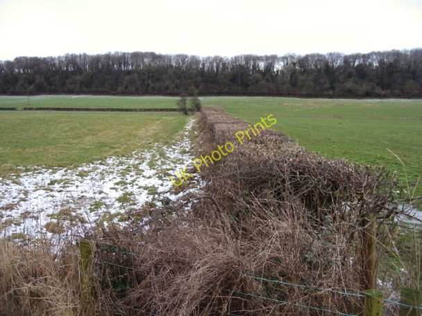 Photo 6"x4" View along hedge to Rodge Wood Caerwent c2009