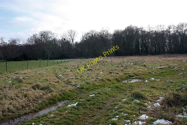 Photo 6"x4" Lower Arles Wood Blackmore End\/SO8144 c2009