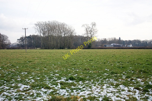 Photo 6"x4" Fields near Coverside Farm Blackmore End\/SO8144 c2009
