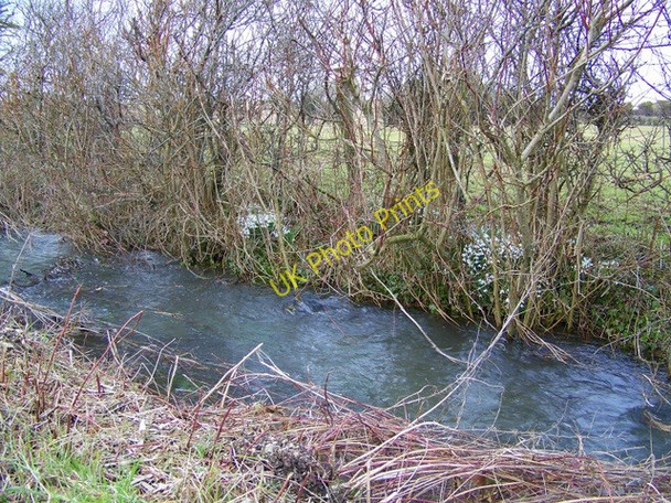 Photo 6"x4" Stream, Gussage St Andrew Gussage St Andrew c2009