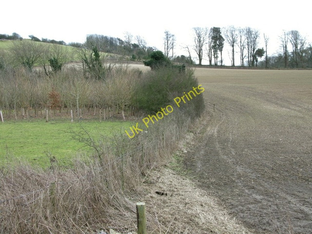 Photo 6"x4" Fields in the Alkham Valley Drellingore c2009