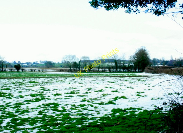 Photo 6"x4" 2009 : South from Ridgeway Lane Ridgeway\/ST7445 c2009