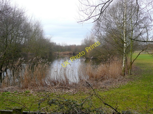 Photo 6"x4" Ornamental lake east of Ross-on-Wye Ross-on-Wye c2009