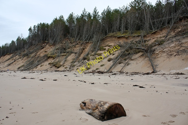 Photo 6"x4" Erosion, Culbin Forest Findhorn c2009