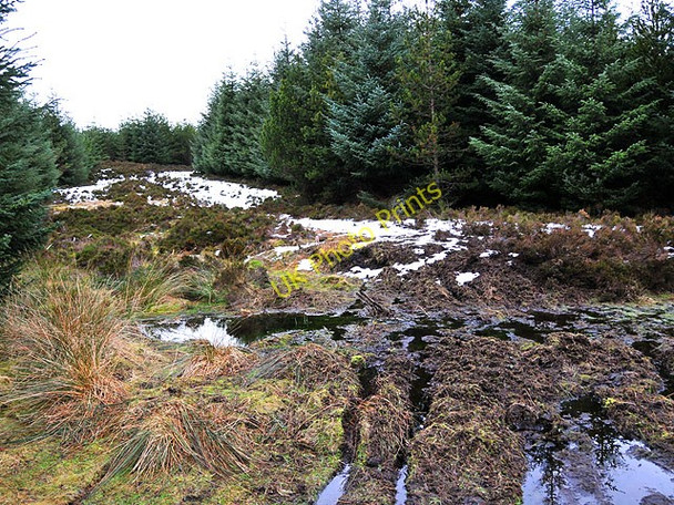 Photo 6"x4" Firebreak and rough track in Griffin Forest Creag a' Mhadaidh\/NN9145 c2009