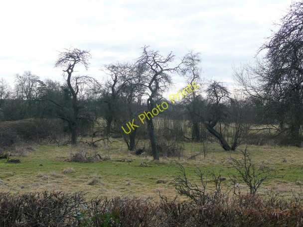 Photo 6"x4" Old orchard land Oddingley c2009