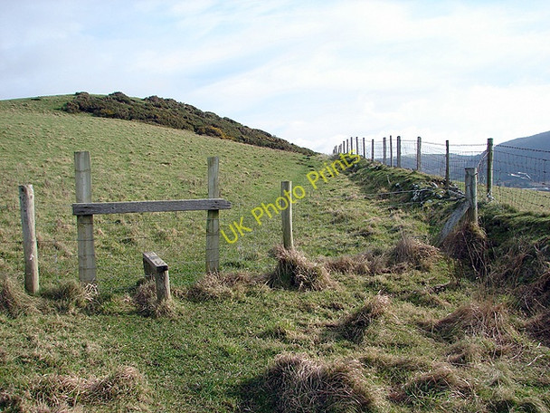 Photo 6"x4" Path leading to Ty-mawr Clarach c2009