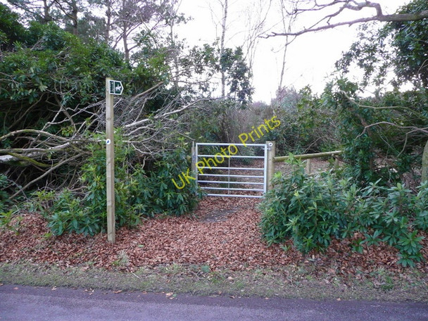 Photo 6"x4" Newly aligned bridleway off Holme Lane Wareham c2009