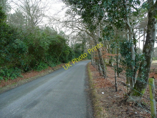 Photo 6"x4" Holme Lane Wareham c2009