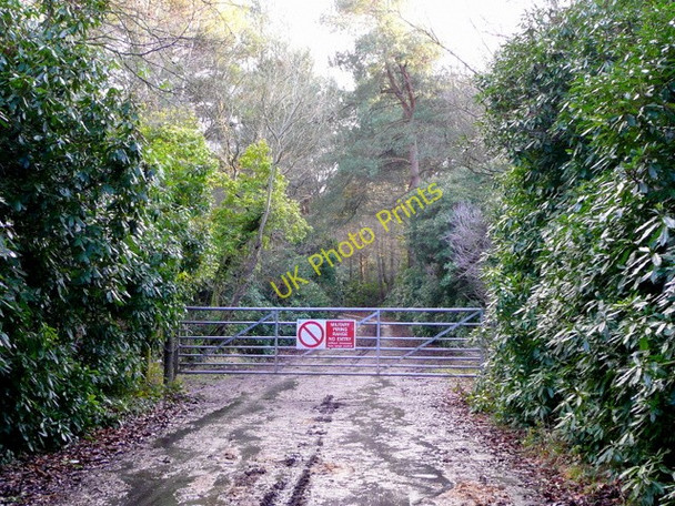 Photo 6"x4" You can go no further East Holme c2009