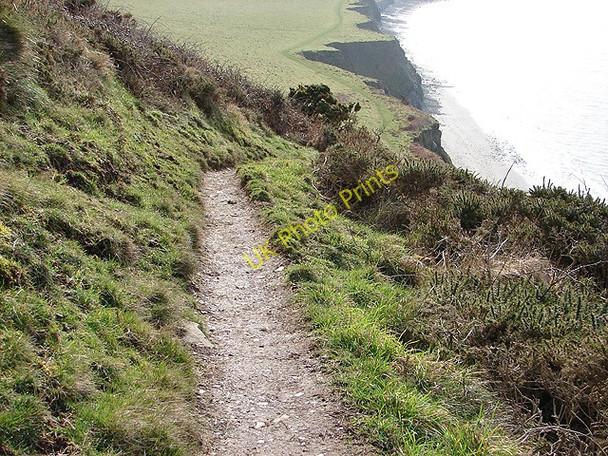 Photo 6"x4" The Ceredigion Coastal Path Upper Borth c2009