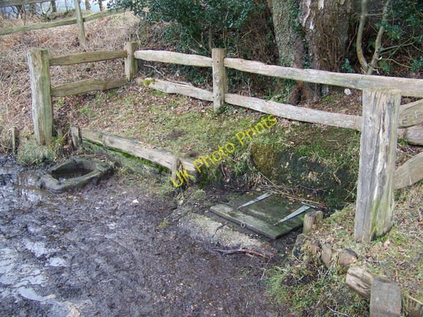 Photo 6"x4" Abbots Well, Frogham Blissford c2009