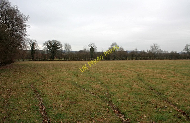 Photo 6"x4" Pasture near Swinmore Common Swinmore Common c2009