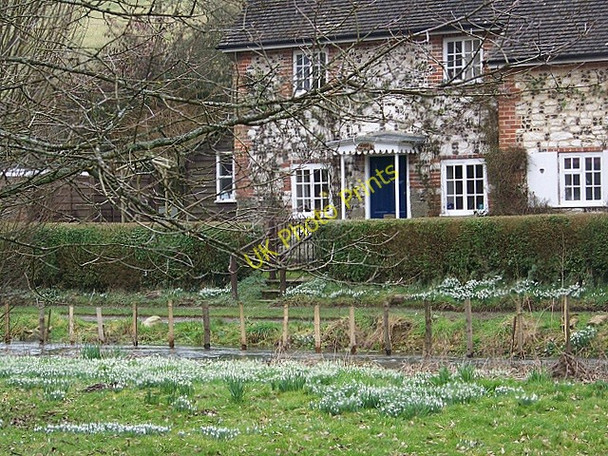Photo 6"x4" Cottage by the River Ebble Stratford Tony c2009