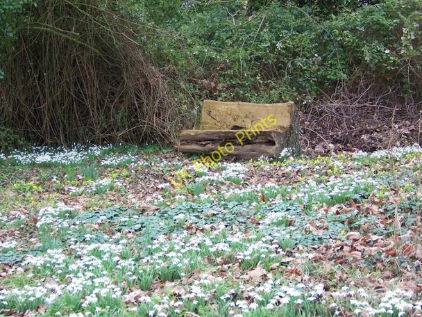 Photo 6"x4" Seat, Homington Homington c2009
