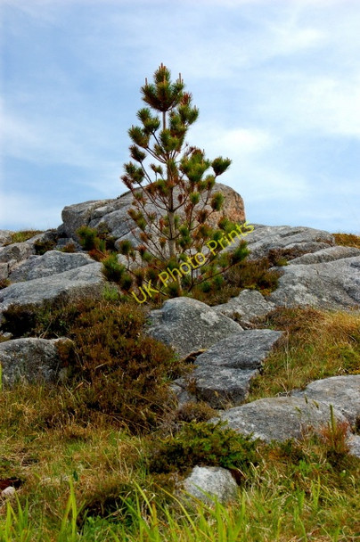 Photo 6"x4" Belcruit - Sight near St Mary's Catholic Church Kincaslough c2008