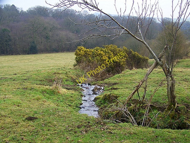 Photo 6"x4" Pasture beside Berry Hill Lane Donhead St Mary c2009