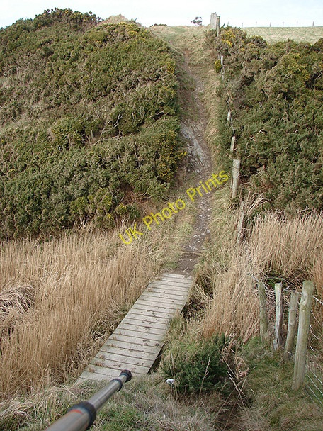 Photo 6"x4" Footbridge on the Ceredigion Coastal Path Upper Borth c2009
