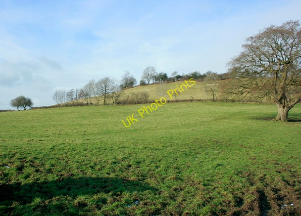 Photo 6"x4" 2009 : Pasture north of the B3115 Amesbury\/ST6558 c2009