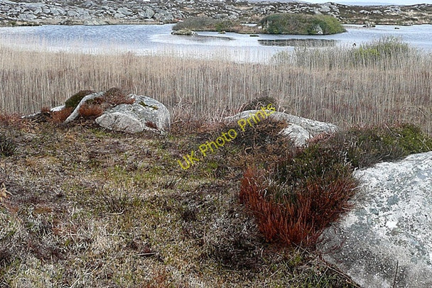 Photo 6"x4" Loch an Iolra (Lochaunanilra) Gorumna c2009