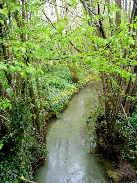 Photo 6"x4" Unnamed brook Dymock c2009