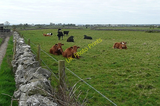 Photo 6"x4" Land behind Ballymoneen Knockdoemore c2009