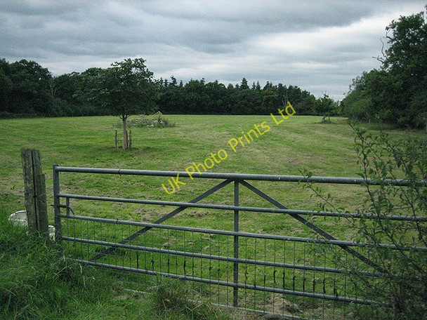 Photo 6"x4" Field in the crook of Little Bentleyhall Wood Little Bentley c2007