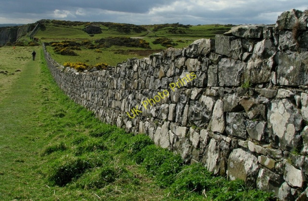 Photo 6"x4" Wall by the North Antrim Cliff Path Dunseverick c2009