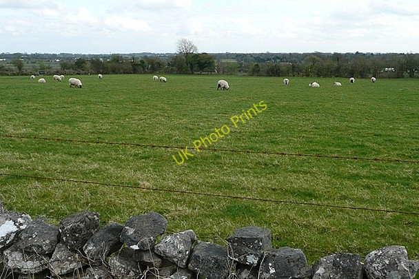 Photo 6"x4" Turloughmore Common Turloughmore c2009