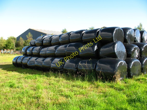 Photo 6"x4" Newton of Cawdor stack of bales Cawdor c2007