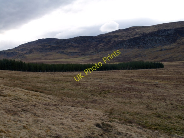 Photo 6"x4" Bog, forest and crags behind Balgowan Balgowan\/NN6394 c2009