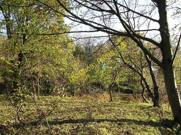 Photo 6"x4" The Brandy Burn Way Johnstone\/NS4362 c2005