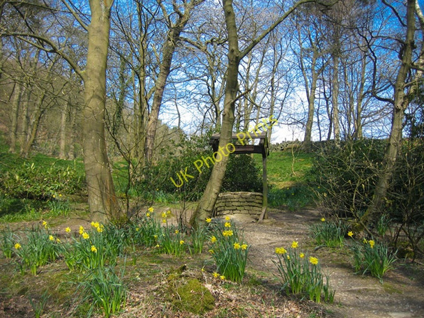 Photo 6"x4" Wishing Well in spring - Hardcastle Crags Hebden Bridge c2008