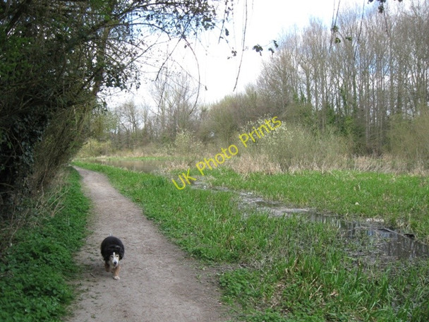 Photo 6"x4" Wendover Arm:  \u00e2\u0080\u009cThe Wides\u00e2\u0080\u009d almost choked with weeds Wendover c2009