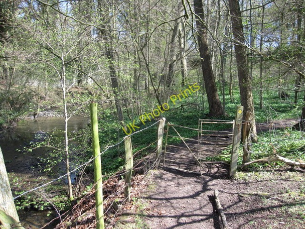 Photo 6"x4" Kissing gate by the River Alyn Tafarn-y-Gelyn c2009