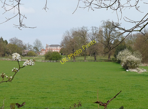 Photo 6"x4" Looking back to Randolph Churchill Dedham c2009