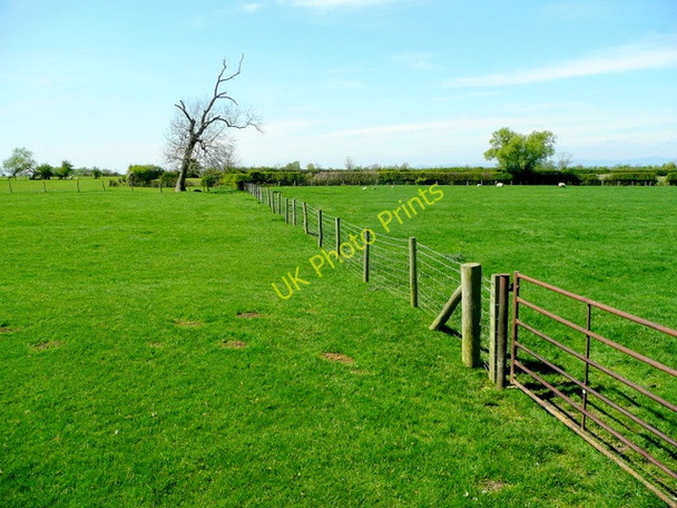 Photo 6"x4" Footpath west Oxenton c2009