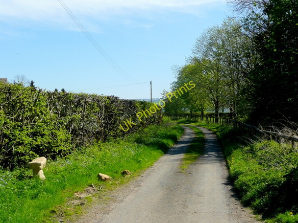 Photo 6"x4" Lane at Burberry Hill New Town\/SP0432 c2009
