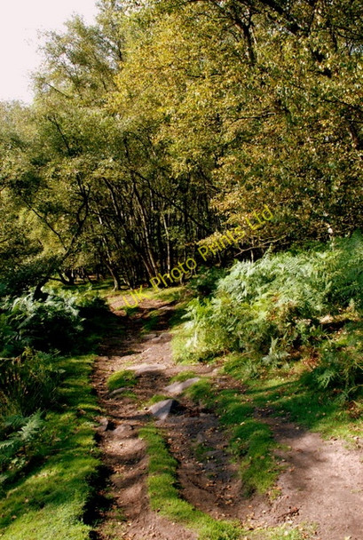 Photo 6"x4" The path down off White Edge Nether Padley c2007