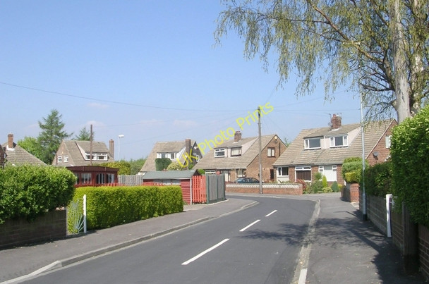 Photo 6"x4" Holmsley Garth - Holmsley Lane Rothwell\/SE3428 c2009