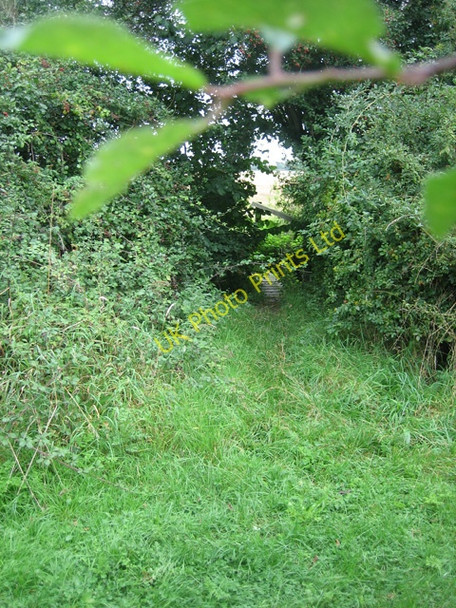 Photo 6"x4" Footpath Junction on the track to Rokeby Farm Stanway Green\/TM2470 c2007