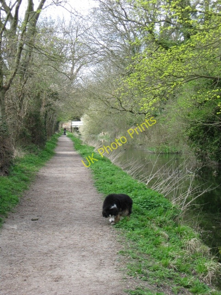Photo 6"x4" Wendover Arm:  Looking along the Towpath towards Perch Bridge Wendover c2009