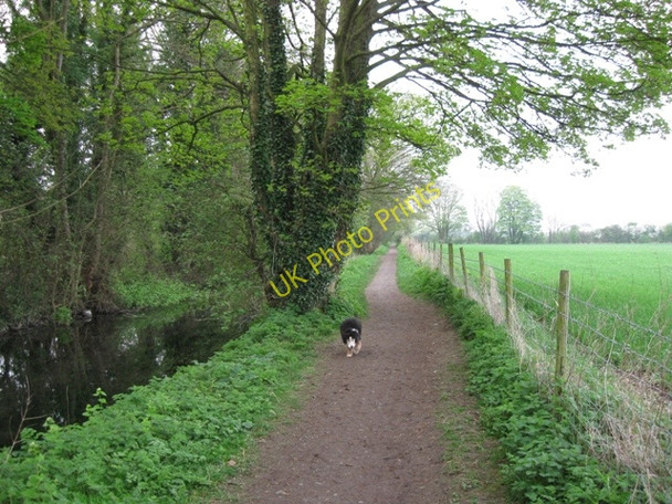 Photo 6"x4" Wendover Arm: The Canal runs by a large field Wendover c2009