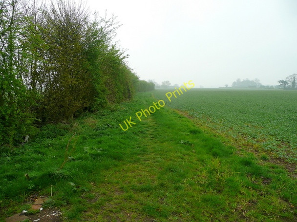 Photo 6"x4" Bridleway to nowhere Heather c2009