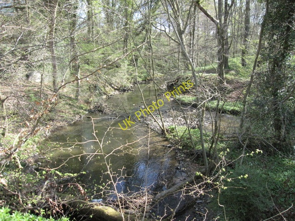 Photo 6"x4" River Alyn\/Afon Alun - upstream Tafarn-y-Gelyn c2009