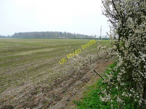 Photo 6"x4" View north to Pepperdale Covers and Farm Howsham\/TA0404 c2009