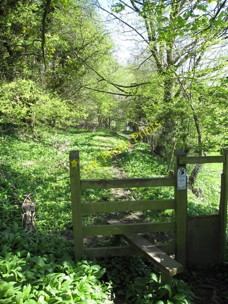 Photo 6"x4" Stile and footpath towards Maeshafn #2 Tafarn-y-Gelyn c2009