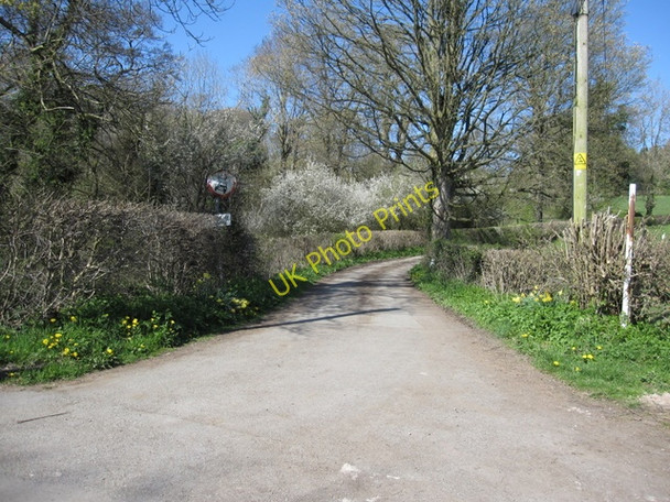 Photo 6"x4" Lane to nowhere Tafarn-y-Gelyn c2009